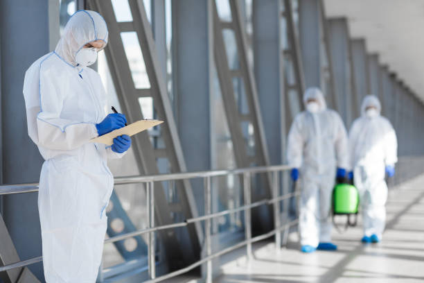 Best Mold Odor Removal Services  in Sunbury, PA