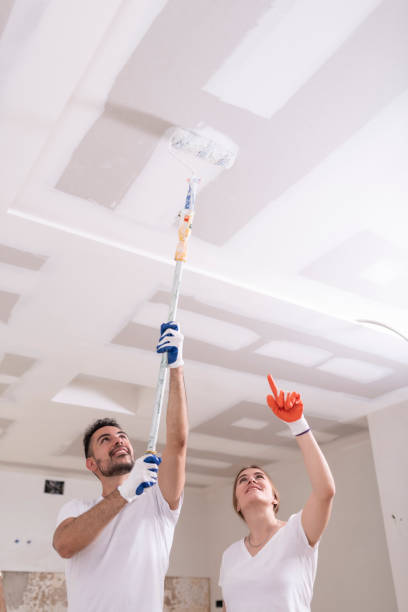 Best Mold Odor Removal Services  in Sunbury, PA