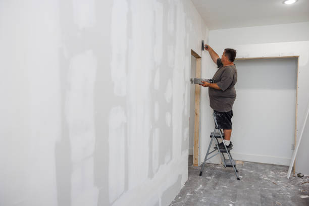 Professional Mold Removal in Sunbury, PA