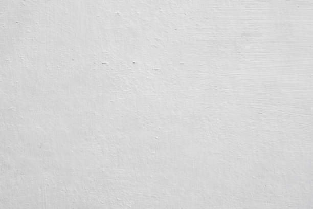 Reliable Sunbury, PA Mold Removal Solutions